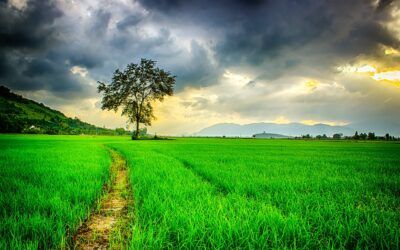 Note to (Future Published) Self